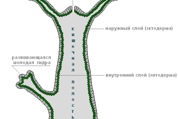 Как пополнить кошелек на кракене даркнет