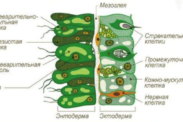 Кракен ссылка что это