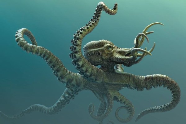 Маркетплейс кракен kraken